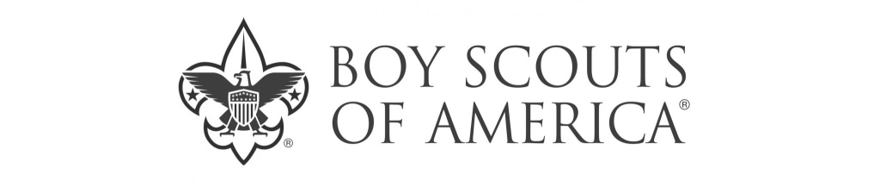 BSA-Logo